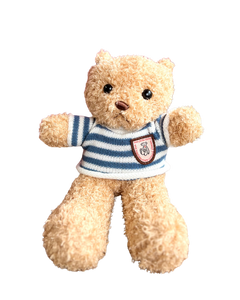 Osos Teddy