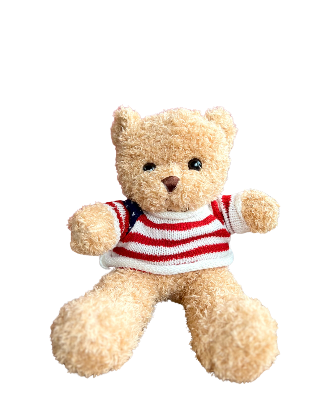 Osos Teddy