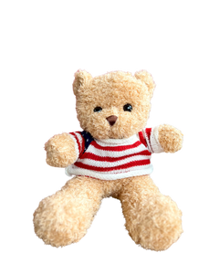 Osos Teddy