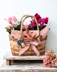 Bolsa Alegría