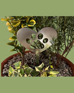 Cargar imagen en el visor de la galería, Huella Serena
