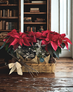 Cargar imagen en el visor de la galería, Abrazo de Nochebuena
