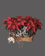 Cargar imagen en el visor de la galería, Abrazo de Nochebuena
