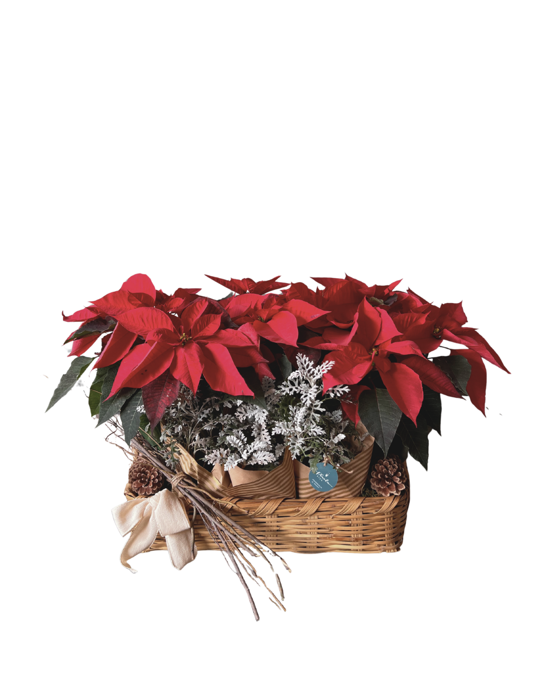 Abrazo de Nochebuena