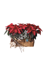 Cargar imagen en el visor de la galería, Abrazo de Nochebuena
