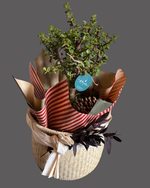 Cargar imagen en el visor de la galería, Abundancia de temporada
