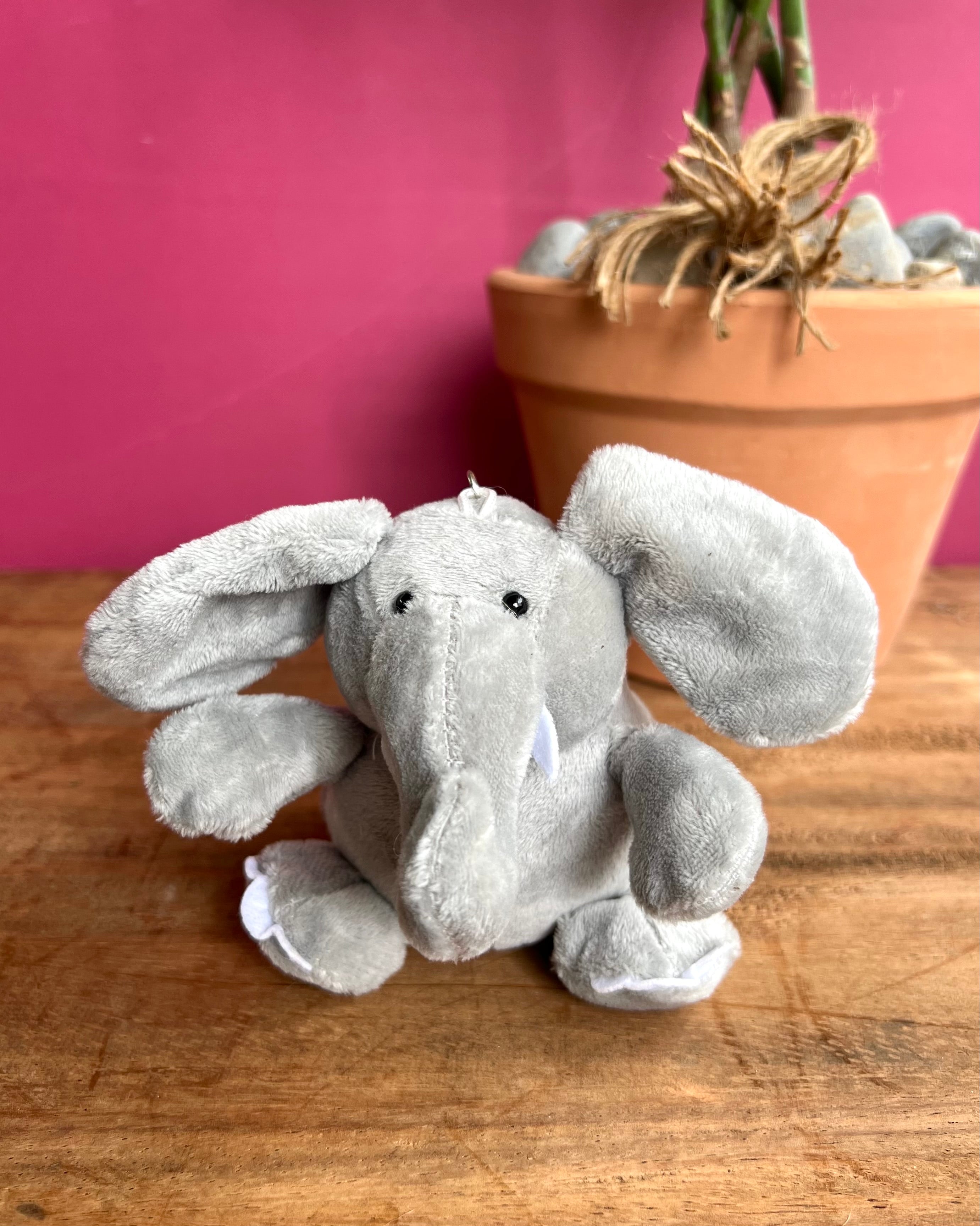 Baby Elefante