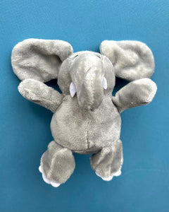 Baby Elefante