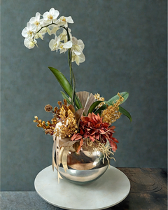 Orquídea Banksia