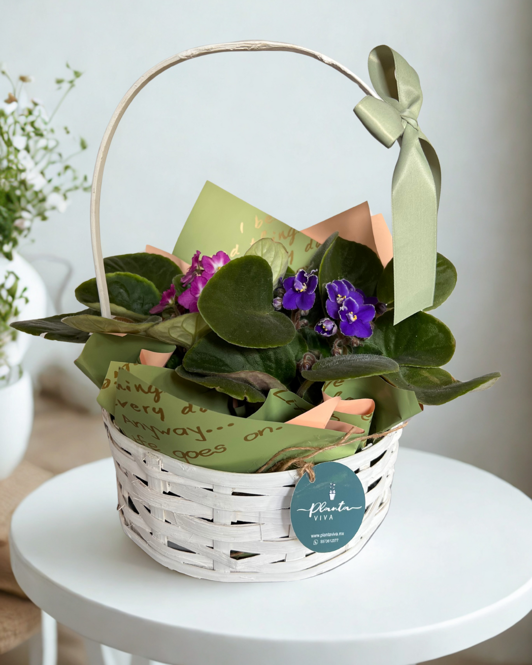 Violeta Bloom