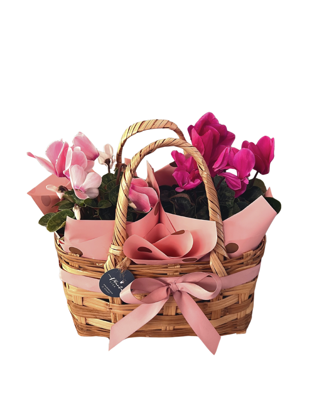 Bolsa Alegría