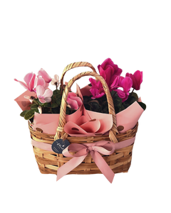 Bolsa Alegría