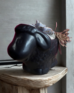 Cargar imagen en el visor de la galería, Borrego Abundancia
