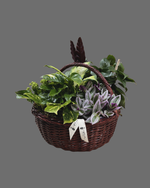 Cargar imagen en el visor de la galería, Plant Lover
