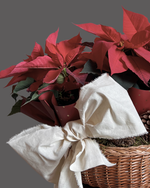 Cargar imagen en el visor de la galería, Canasta Mexicana
