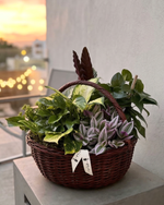 Cargar imagen en el visor de la galería, Plant Lover
