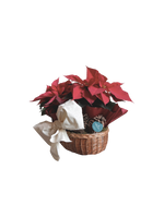 Cargar imagen en el visor de la galería, Canasta Mexicana
