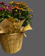 Cargar imagen en el visor de la galería, Cesto Crisatemos
