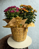 Cargar imagen en el visor de la galería, Cesto Crisatemos
