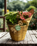 Cargar imagen en el visor de la galería, Cesto Kalanchoes
