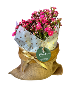 Cargar imagen en el visor de la galería, Costalitos en Flor
