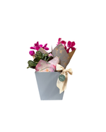 Cargar imagen en el visor de la galería, Cyclamen Emilia

