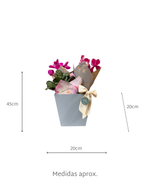 Cargar imagen en el visor de la galería, Cyclamen Emilia
