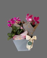 Cargar imagen en el visor de la galería, Cyclamen Emilia

