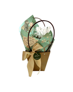 Cargar imagen en el visor de la galería, Cyclamen White Lotus
