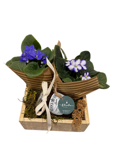 Dulce Flora