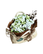 Cargar imagen en el visor de la galería, Dulce Kalanchoe

