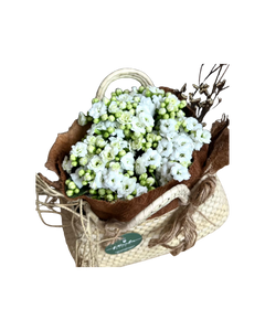 Dulce Kalanchoe
