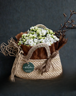 Cargar imagen en el visor de la galería, Dulce Kalanchoe
