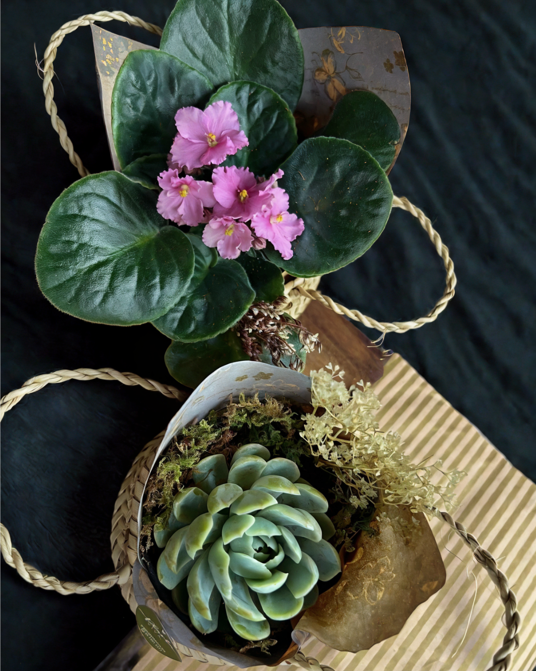 Cesta Palmita