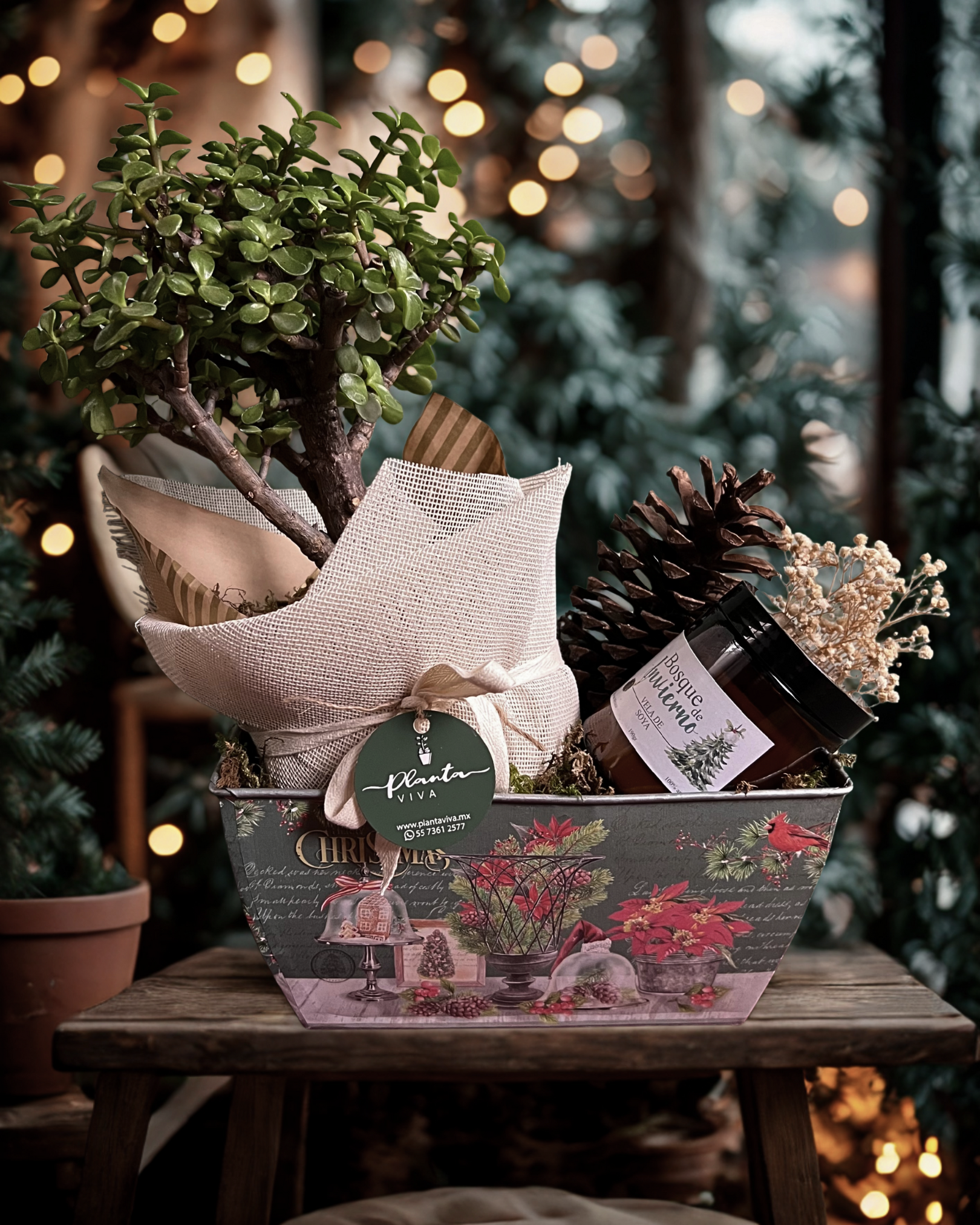 Fantasía de Invierno