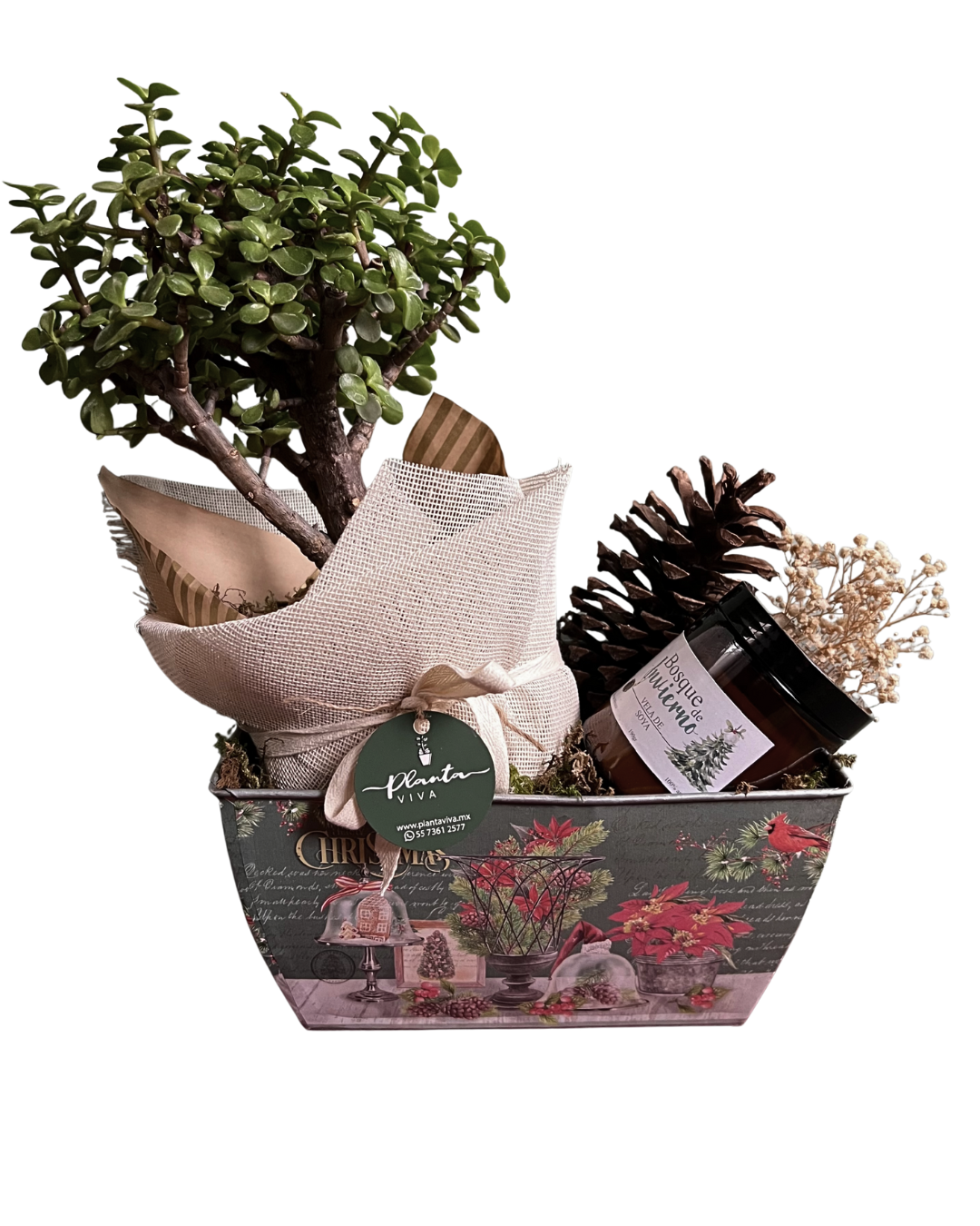 Fantasía de Invierno