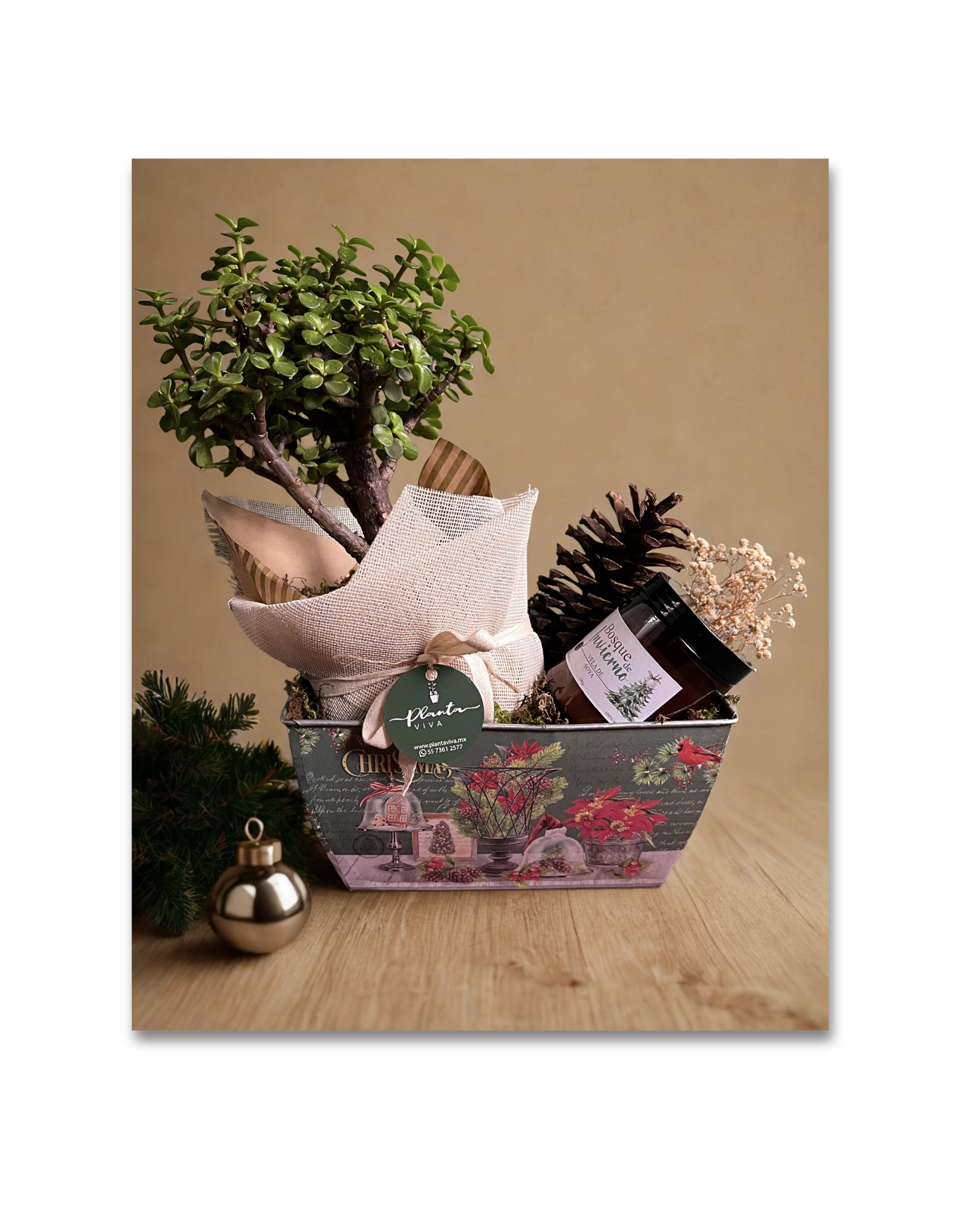 Fantasía de Invierno