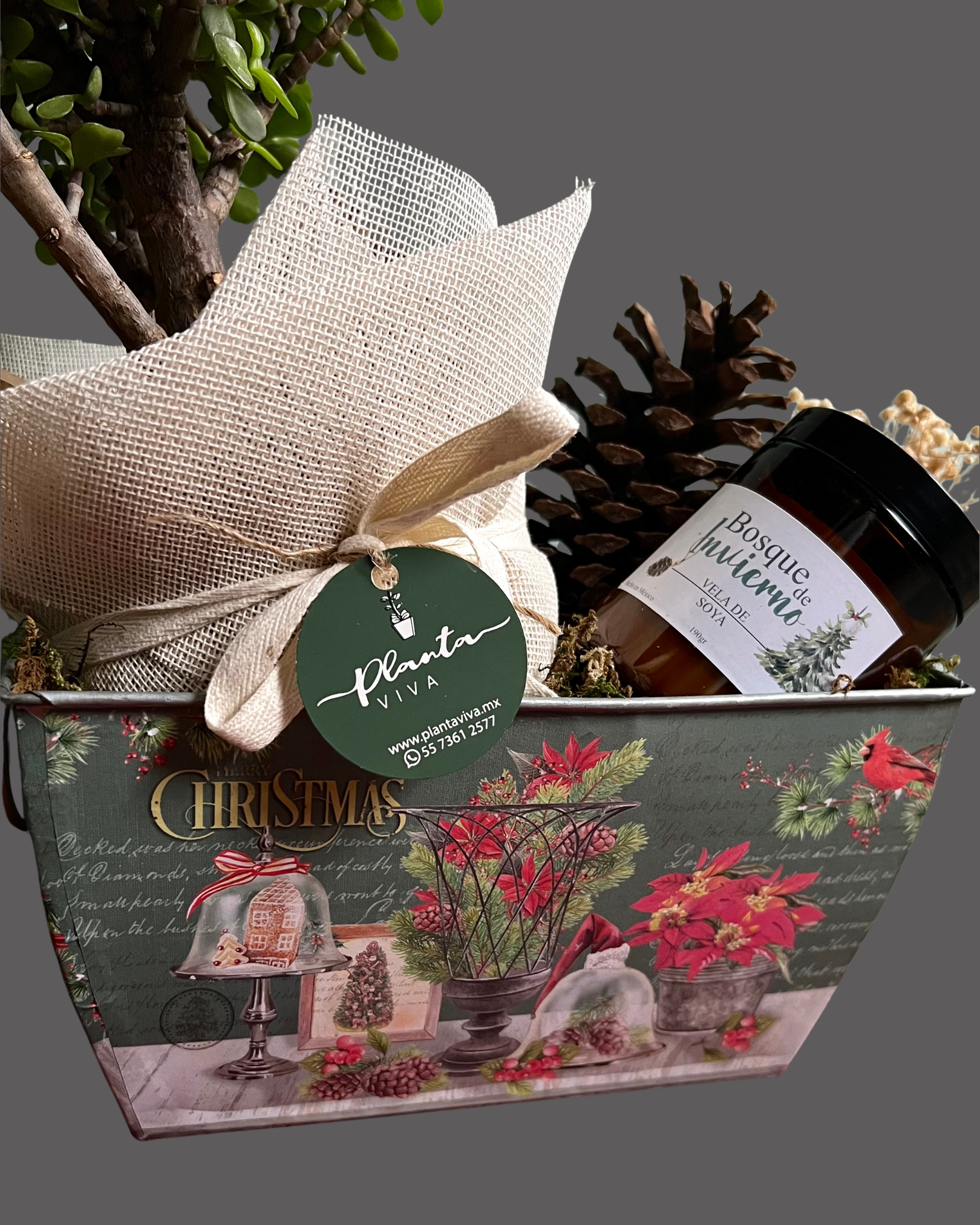 Fantasía de Invierno