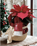 Cargar imagen en el visor de la galería, Felices Fiestas
