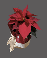 Cargar imagen en el visor de la galería, Felices Fiestas
