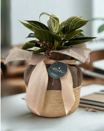 Cargar imagen en el visor de la galería, Birkin
