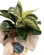 Cargar imagen en el visor de la galería, Birkin
