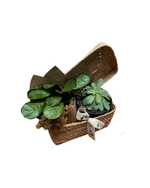 Cargar imagen en el visor de la galería, Jardín MX
