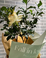 Cargar imagen en el visor de la galería, Con Aroma de Gardenias
