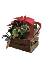 Cargar imagen en el visor de la galería, Cosecha Roja
