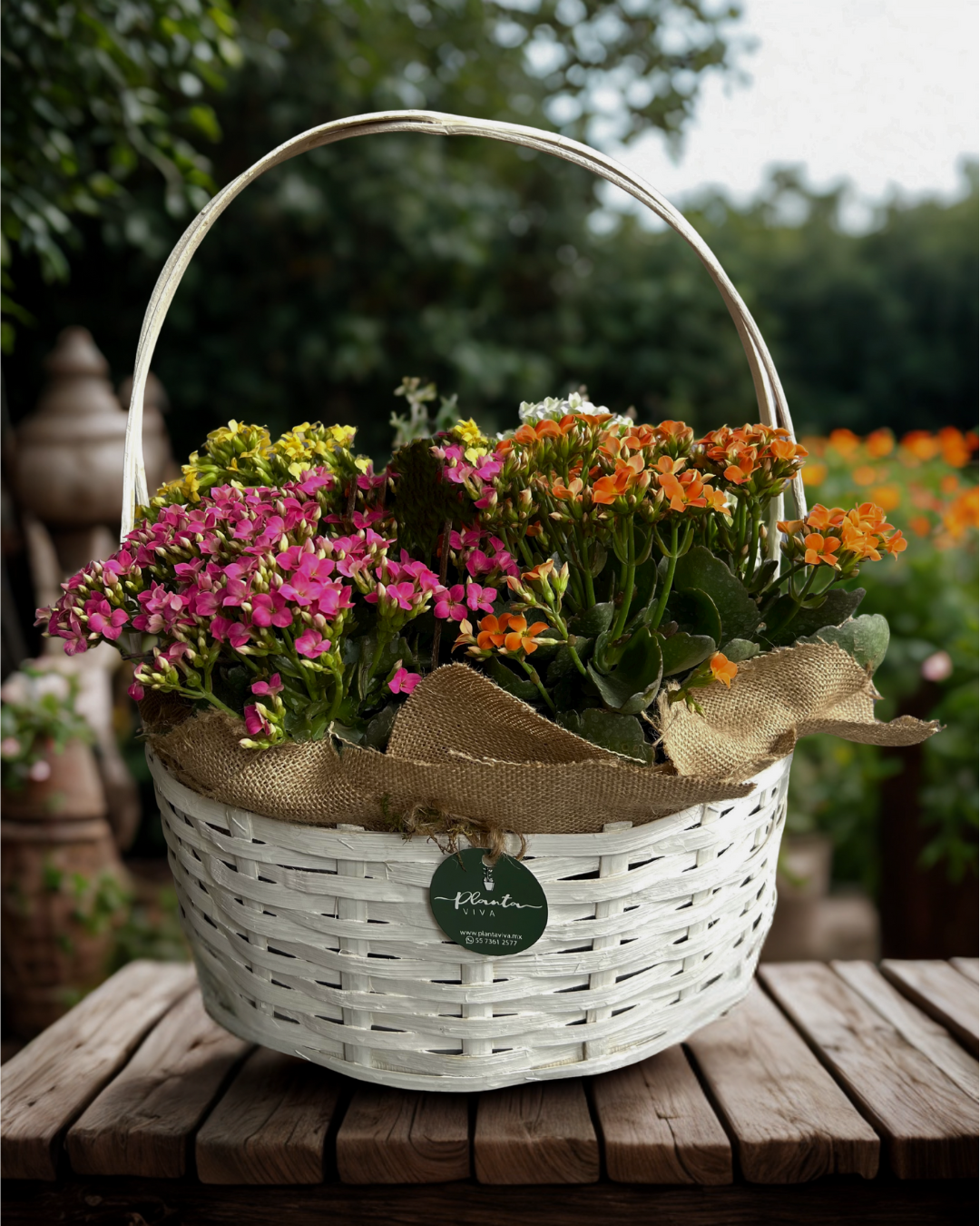 Jardín de Kalanchoes