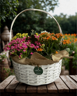 Cargar imagen en el visor de la galería, Jardín de Kalanchoes
