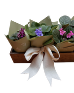 Cargar imagen en el visor de la galería, Jardín Violeta
