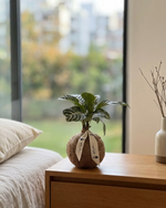 Cargar imagen en el visor de la galería, Kokedama Afelandra

