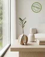 Cargar imagen en el visor de la galería, Kokedama Zamioculca
